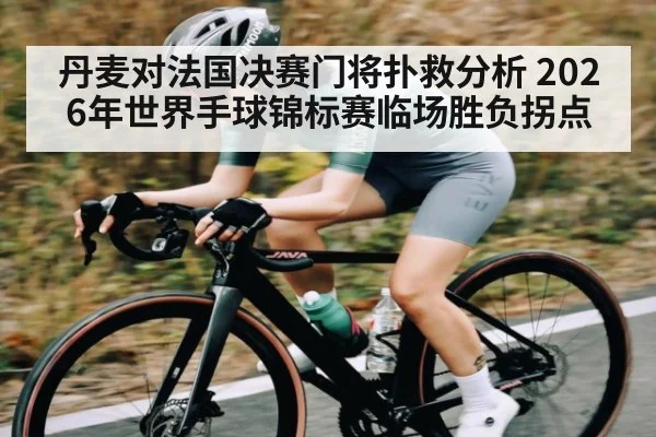 丹麦对法国决赛门将扑救分析 2026年世界手球锦标赛临场胜负拐点（kaiyun）